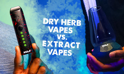 Dry Herb Vapes vs. Extract Vapes
