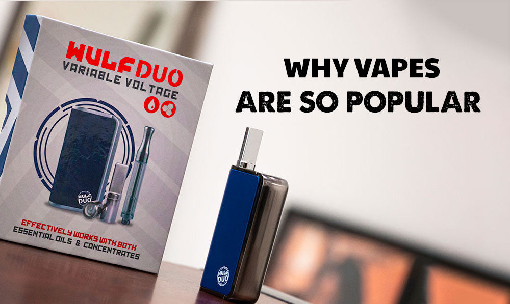 The Rise of Vaping: Why Are Vapes So Popular? | Wulf Mods The Rise of Vaping: Why Are Vapes So Popular? | Wulf Mods