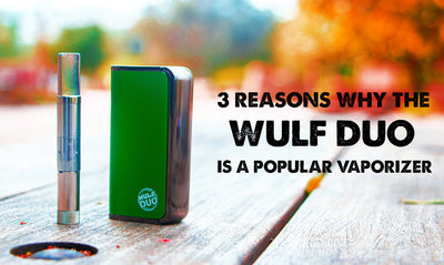 3 Reasons Why The Wulf Duo 2-in-1 is a Popular Vaporizer
