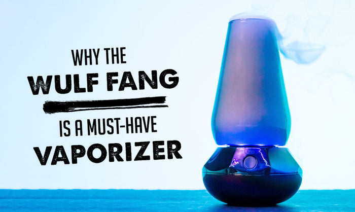 Four Reasons the Wulf Fang Is a Must Have 2 in 1 Vaporizer