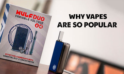 The Rise of Vaping: Why Are Vapes So Popular?