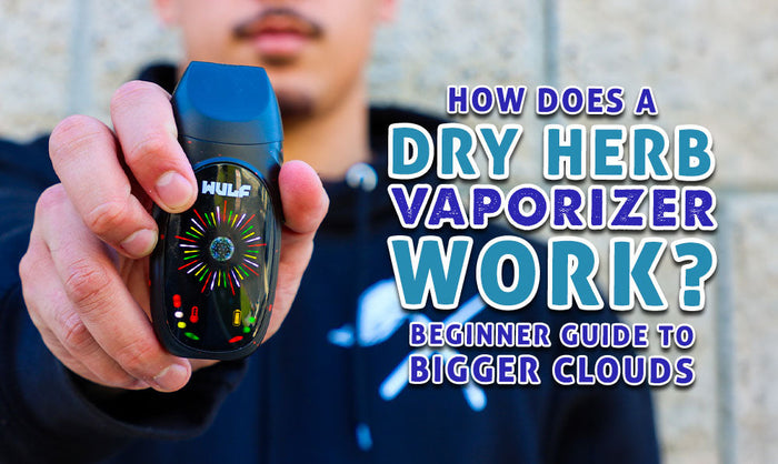 How Does a Dry Herb Vaporizer Work? (Beginner Guide to Bigger Clouds)