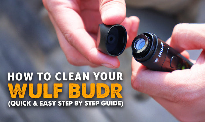 How To Clean Your Wulf Budr Vaporizer (Quick & Easy Step-by-Step Guide)
