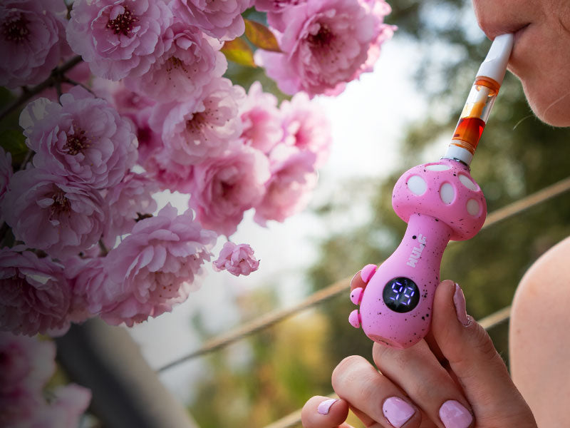 Buy or Register your WULF Vaporizers and Replacement Parts Wulf Mods Buy or Register your WULF Vaporizers and Replacement Parts Wulf Mods
