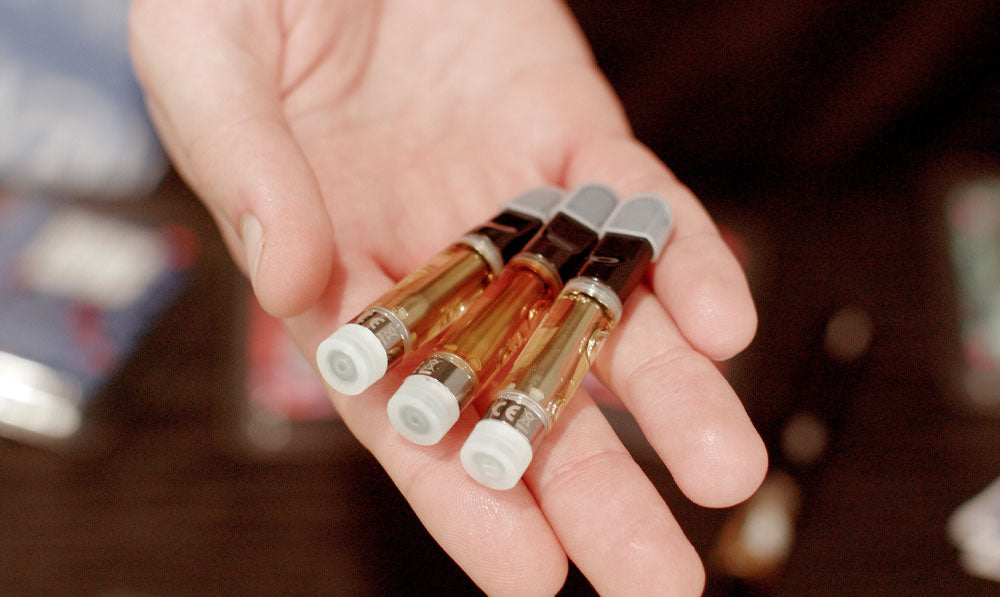 Person holding cartridges in the palm of their hand