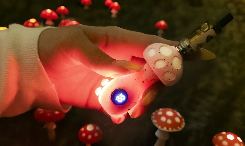 Woman holding glowing Wulf Tryp over mushroom field