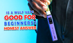 Is a Wulf Vape Good for Beginners? Honest Answer