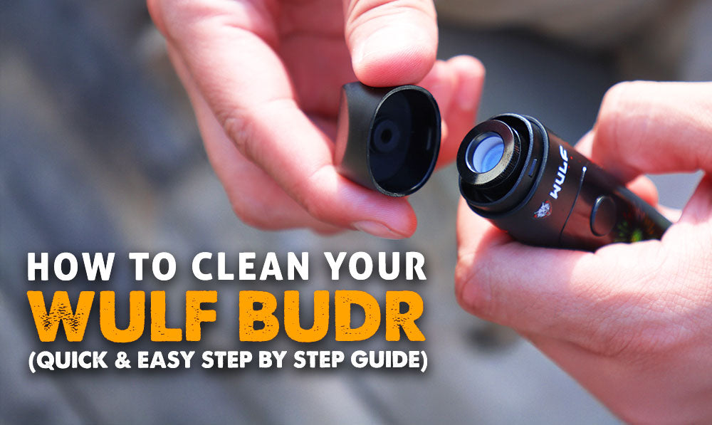 How To Clean Your Wulf Budr Vaporizer (Quick & Easy Step-by-Step Guide)