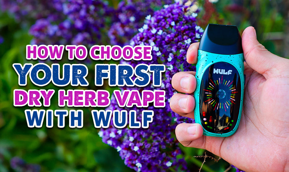 How To Choose Your First Dry Herb Vape