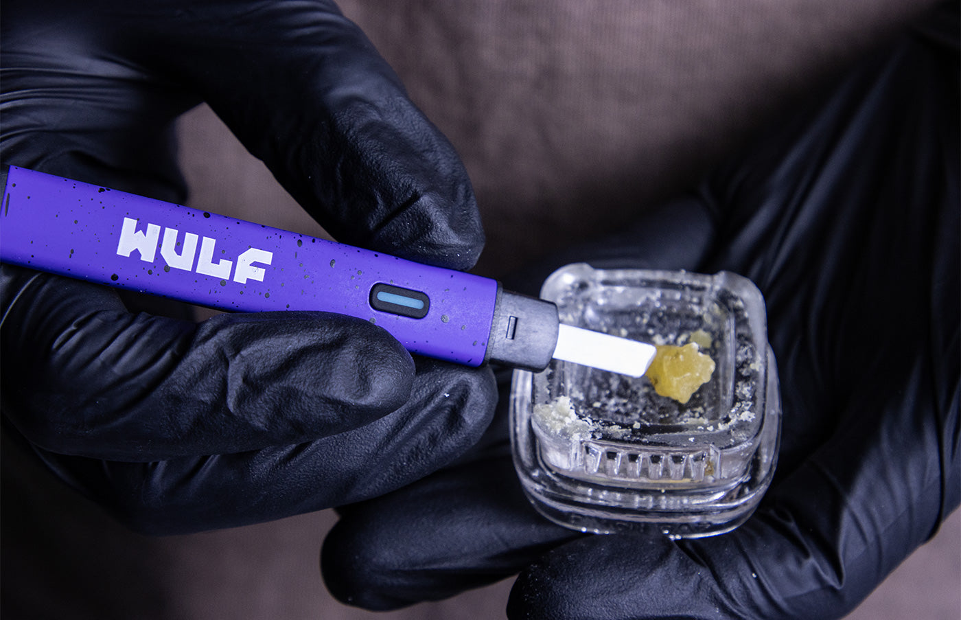 wulf slyce studio demo photo