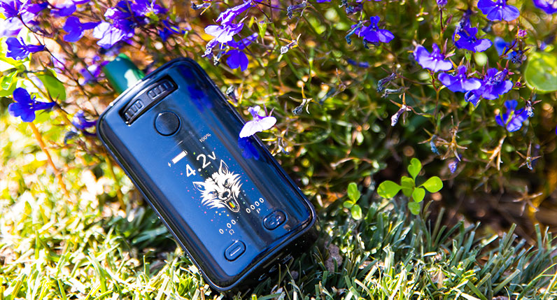 Wulf UNI 3.0 laying on grass and laying with blue flowers
