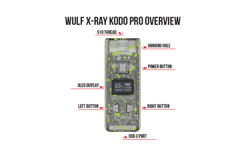 Overview of the Kodo Pro X-Ray on white background