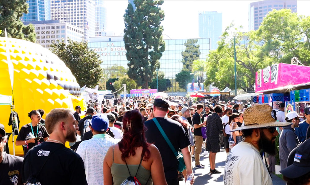 Crowd at Puffcon